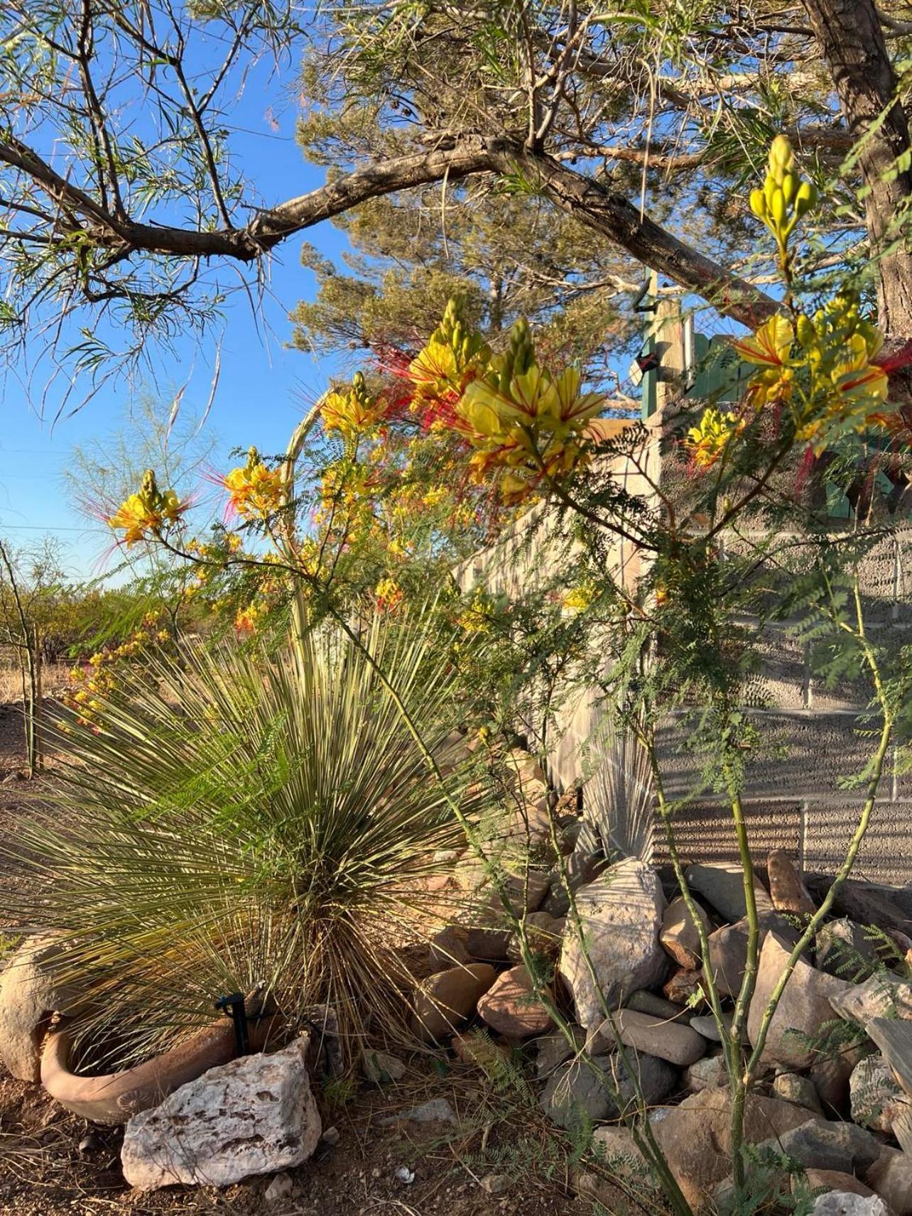 Hole In The Wall Getaway - Usa Mexico Border Bed And Breakfast Columbus Exterior foto